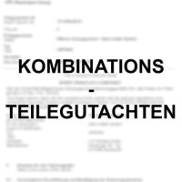 TÜV Kombinationsgutachten passend für Ford...